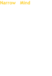 Narrow Mind ist eine progressive Metal-Band aus Düdingen, Kanton Freiburg, Schweiz.   Musikalisch werden in der Musik der Band rockige, punkige und progressive Einflüsse verarbeitet. Vocals Guitar Bass Drums